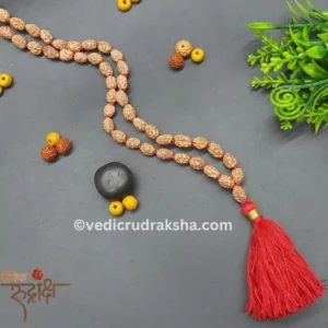 2 Mukhi Japa Rudraksha Mala – 108+1 Beads | Lab Certified & Energized | For Peace, Harmony & Spiritual Growth