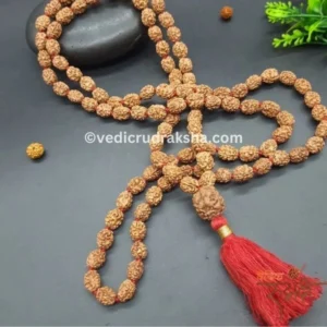 Original 3 Mukhi Japa Rudraksha Mala – 108+1 Natural Beads | Lab Certified | Energized for Japa & Meditation