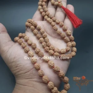 4 Mukhi Japa Rudraksha Mala – 108+1 Beads | Lab Certified Original Rudraksha for Knowledge & Wisdom
