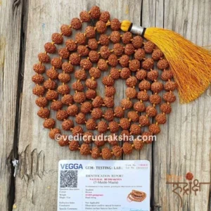 5 Mukhi Japa Rudraksha Mala – 108+1 Beads | Lab Certified | Energized Spiritual Japa Mala for Meditation & Healing