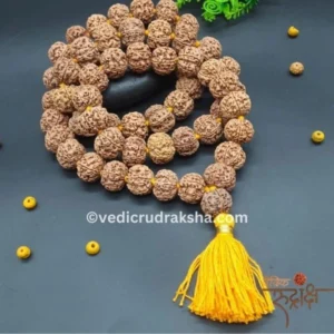 7 Mukhi Japa Rudraksha Mala 8 -10mm with Lab Certificate – Original & Energized