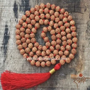 Natural 6 Mukhi Rudraksha Mala with Lab Certificate – Original & Certified Spiritual Beads