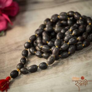 Certified Original 108 Lotus Seeds Kamal Gatta Mala | For Japa, Maa Lakshmi Pooja & Wearing