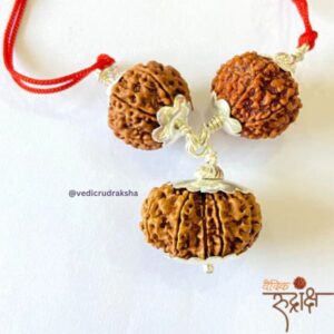 Sukh Samriddhi Kawach – 6, 7 & 13 Mukhi Rudraksha Pendant for Love, Prosperity
