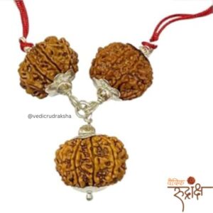 Nepali Rudraksha Kawach Mala – 8, 9 & 11 Mukhi Rudraksha Pendant for Men & Women Unlock divine strength, protection, and inner clarity