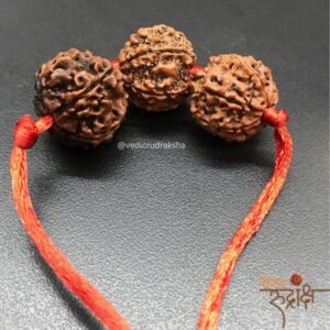 5, 6 & 7 Mukhi Rudraksha Combination for Financial Stability & Prosperity | Jupiter, Venus & Lakshmi Beads