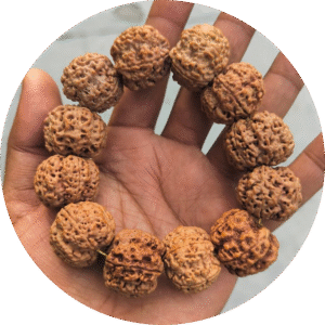 Rudraksha Bracelet