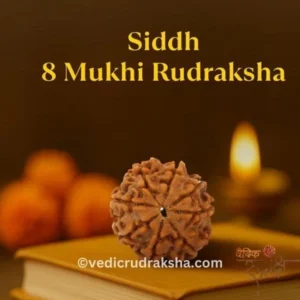 Original 8 Mukhi Nepali Rudraksha – Lab Certified & Energized | Authentic Bead of Goddess Durga for Power & Protection (Copy)