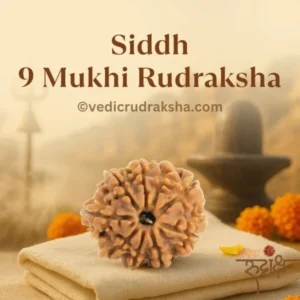 Original 9 Mukhi Nepali Rudraksha – Lab Certified & Energized | Authentic Bead of Goddess Durga for Power & Protection