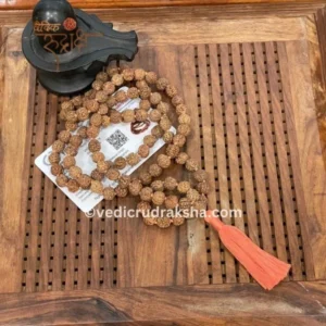 8 Mukhi Japa Rudraksha Mala 108+1 with Lab Certificate – Divine & Energized