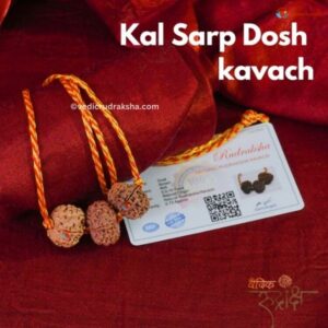 Kaalsarp Nivaran Rudraksha Mala/Kavach (8, 9, 10 Mukhi )