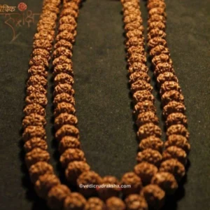 Premium 7 Mukhi Japa Mala – Nepal Origin Rudraksha (20–22mm) | Certified & Energized for Spiritual Power with 108+1 Beads