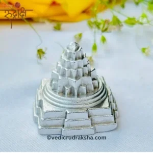 Pure Parad Meru Shri Yantra (20-25 gm) – Energized Mercury Shree Yantra for Success, Prosperity & Harmony (Copy)