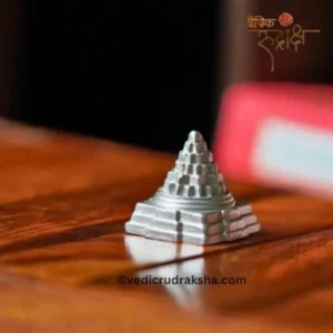 Pure Parad Meru Shri Yantra (65–75 gm) – Energized Mercury Shree Yantra for Success, Prosperity & Harmony