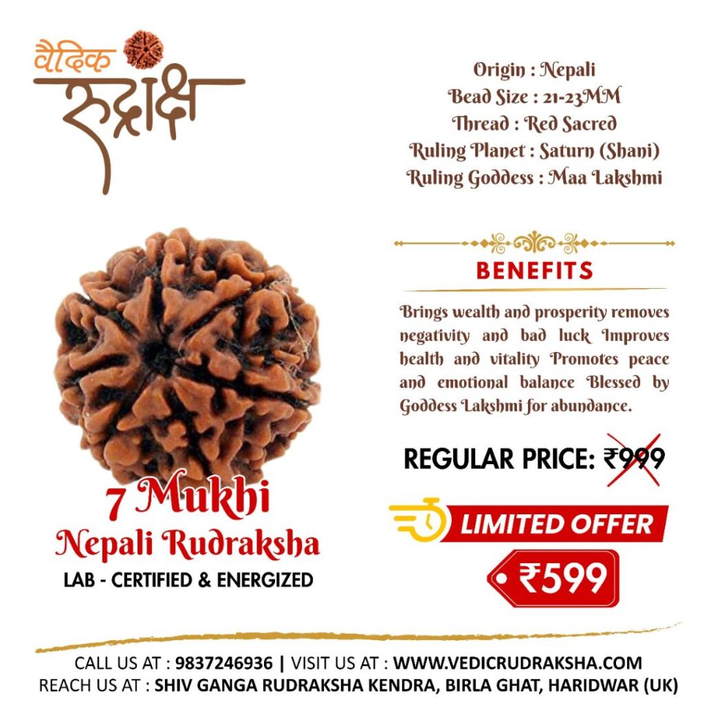 7 Mukhi Neplai Rudraksha