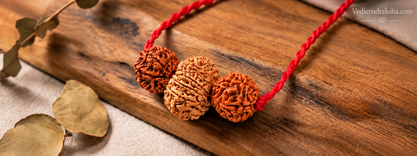 Neplai Rudraksha Kawach Rudraksha Beads